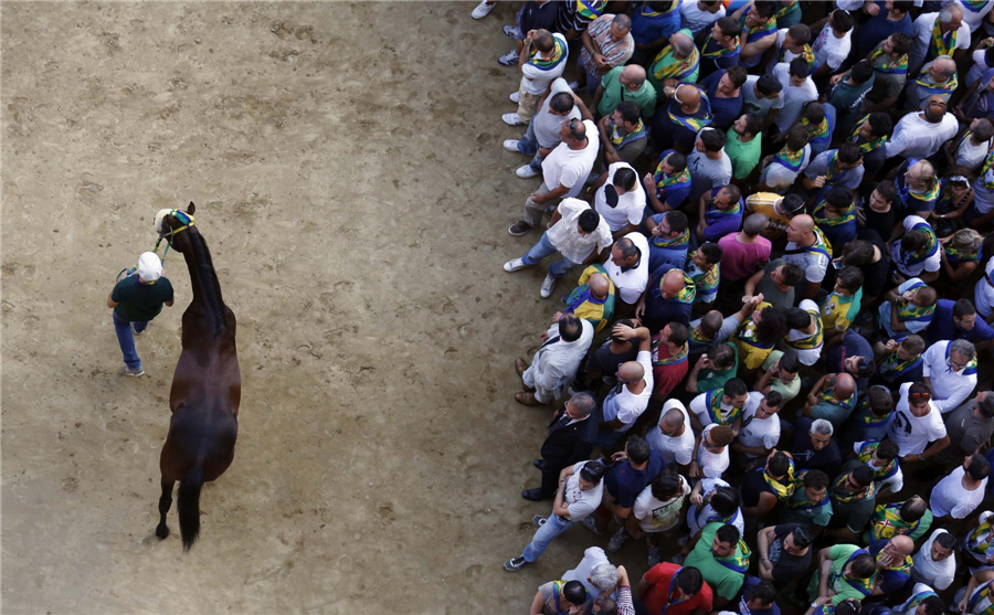 Horse races in Siena, Italy