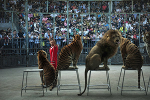 No animals in circus shows?[1]| World photos