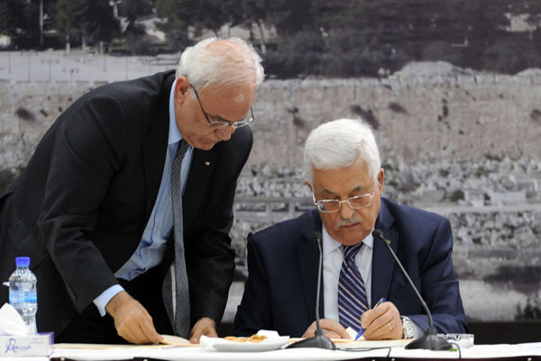 Palestine to pursue more UN recognition