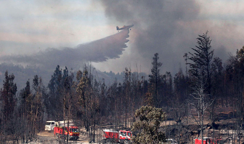 Death toll from Chile forest fire rises to 16