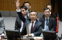 Russia, China veto draft UN resolution on Syrian civil war