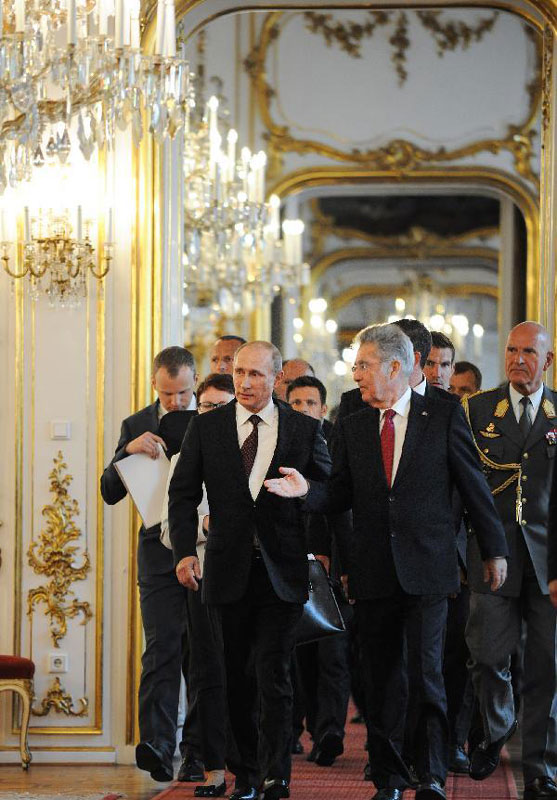 Putin discusses Ukraine crisis, gas pipeline during Austrian visit