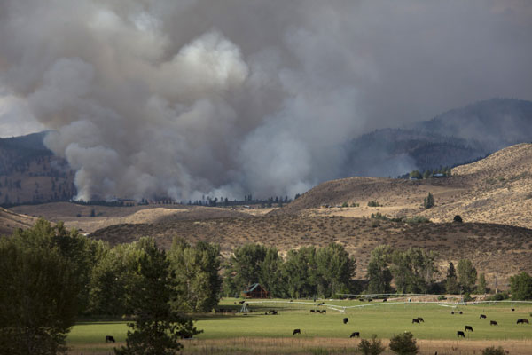 Washington state wildfire destroys 100 homes, hundreds evacuate