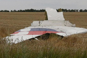 272 bodies recovered from MH17 crash site