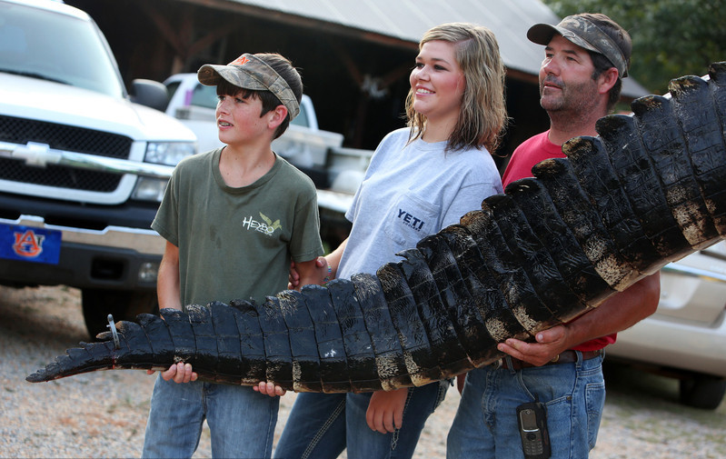 Residents caught giant alligator in Alabama