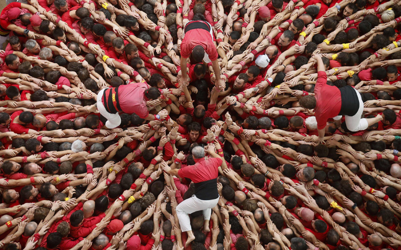 Castellers build human towers