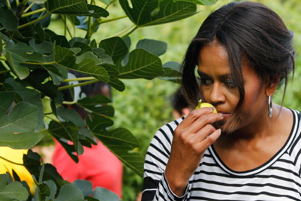 White House also produces harvest joy