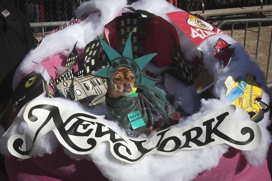 Halloween Dog Parade kicks off in New York