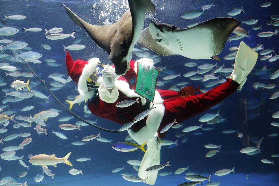 Underwater Santas make a splash in Tokyo