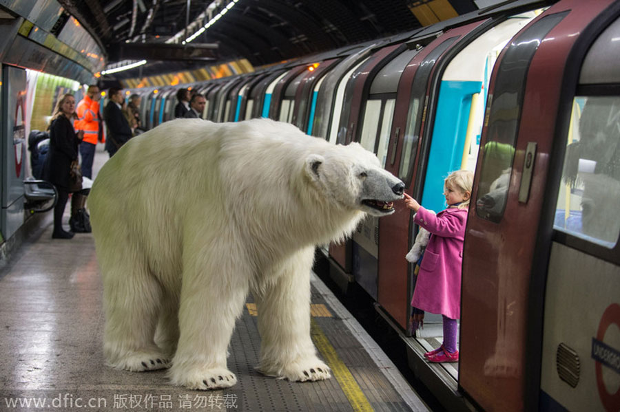 'Polar bear' roams in London, but don't panic
