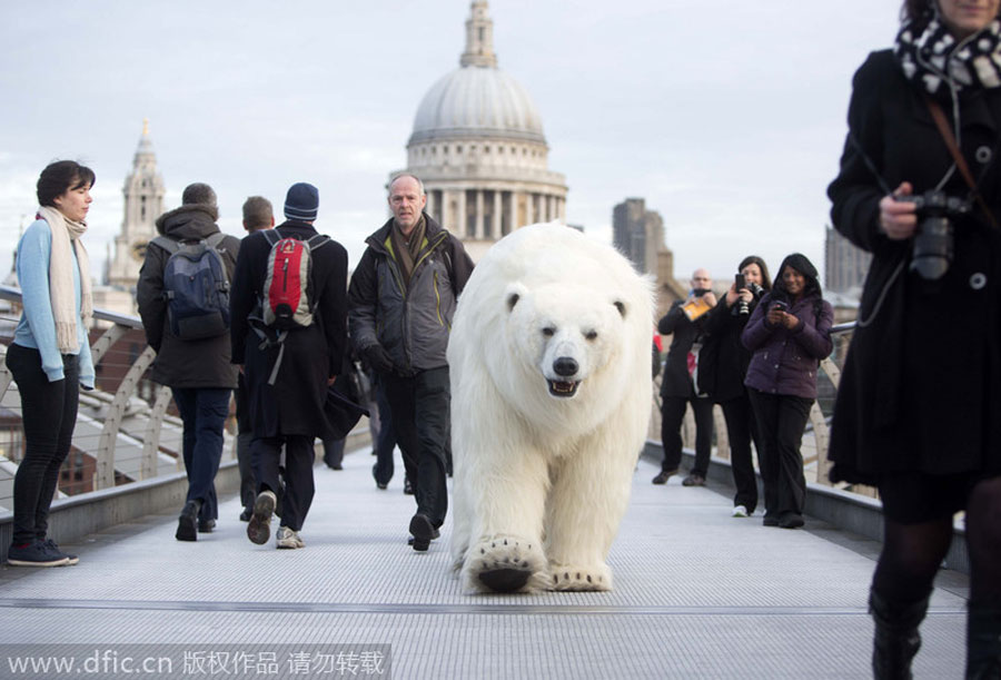 'Polar bear' roams in London, but don't panic