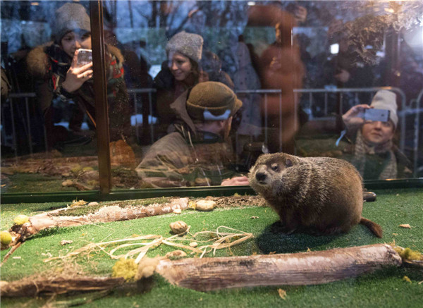 US groundhog Phil predicts six more weeks of winter