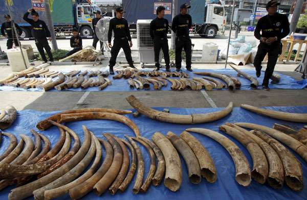 Thailand makes second big ivory bust in two weeks