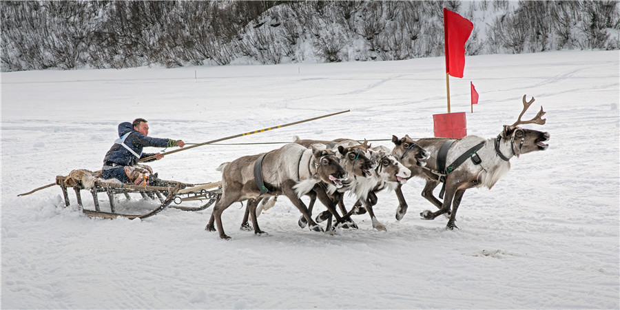 Reindeer Herders Day celebrated in northern Russia