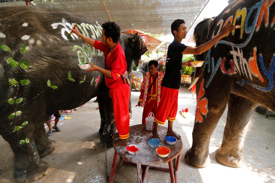 Water fight with elephants in Thailand