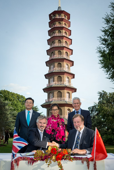 The Meeting of Two Pagodas in London's Kew Gardens