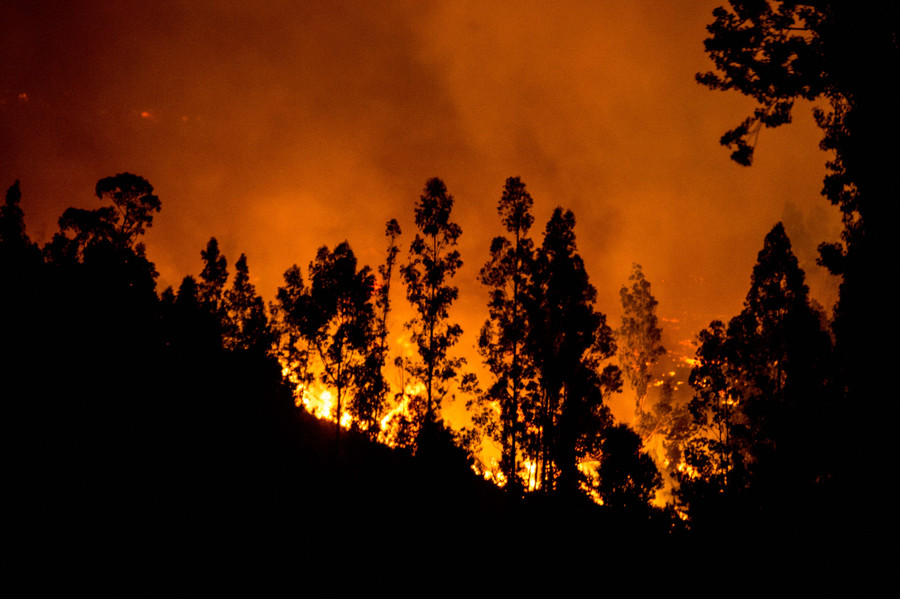 Chile battles devastating wildfires as international help pours in