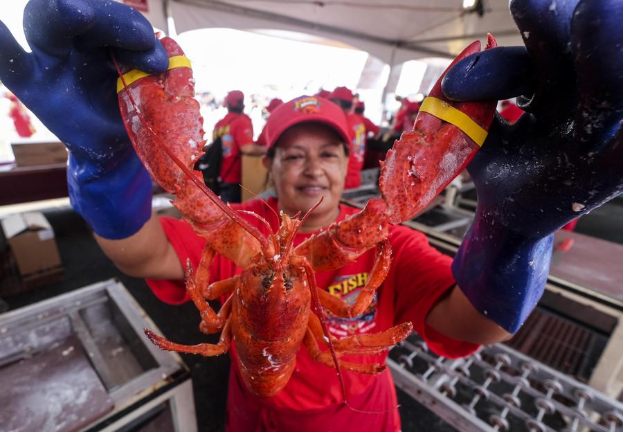 Annual Port of Los Angeles Lobster Festival celebrated in California