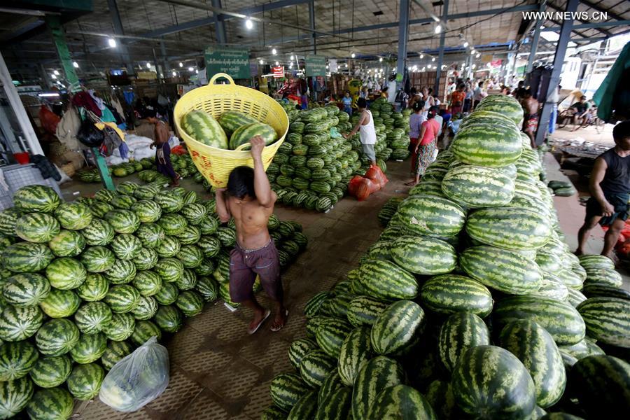 Myanmar exports about 95 percent of fruits to China