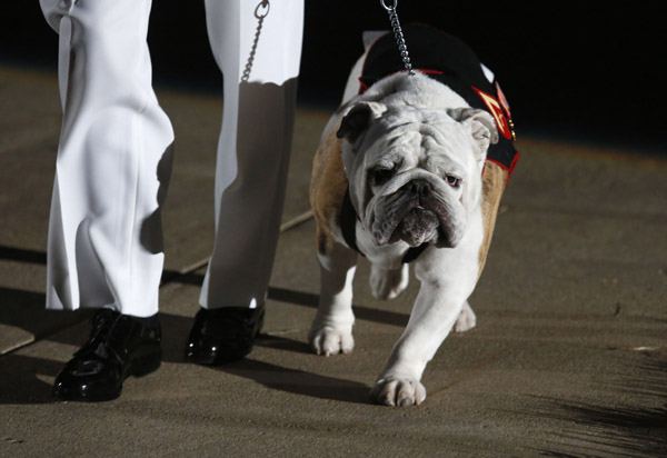 Pet steals the show at Marine Barracks Evening Parade