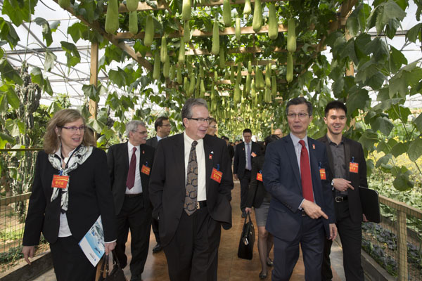 Ontario ties knot with China's vegetable town