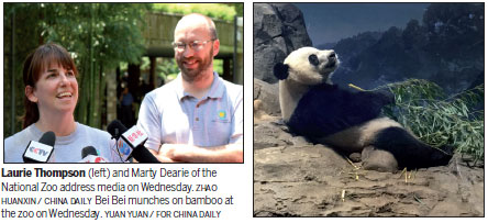 The DC pandas are doing just fine, zoo says