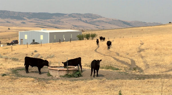 Montana ranchers lasso China ties