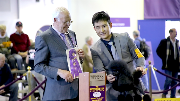 Chinese are proud to compete in NY dog show