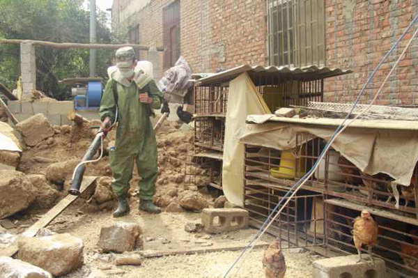 Disinfection conducted in quake-hit Ludian