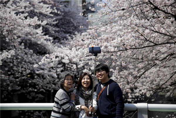 Welcome cherry blossom season in Tokyo