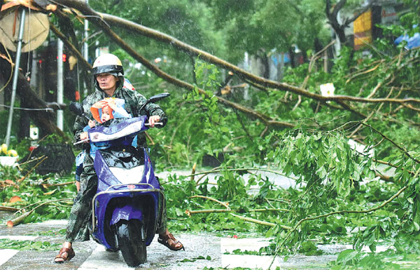 Typhoon's high winds, rain hit Hainan