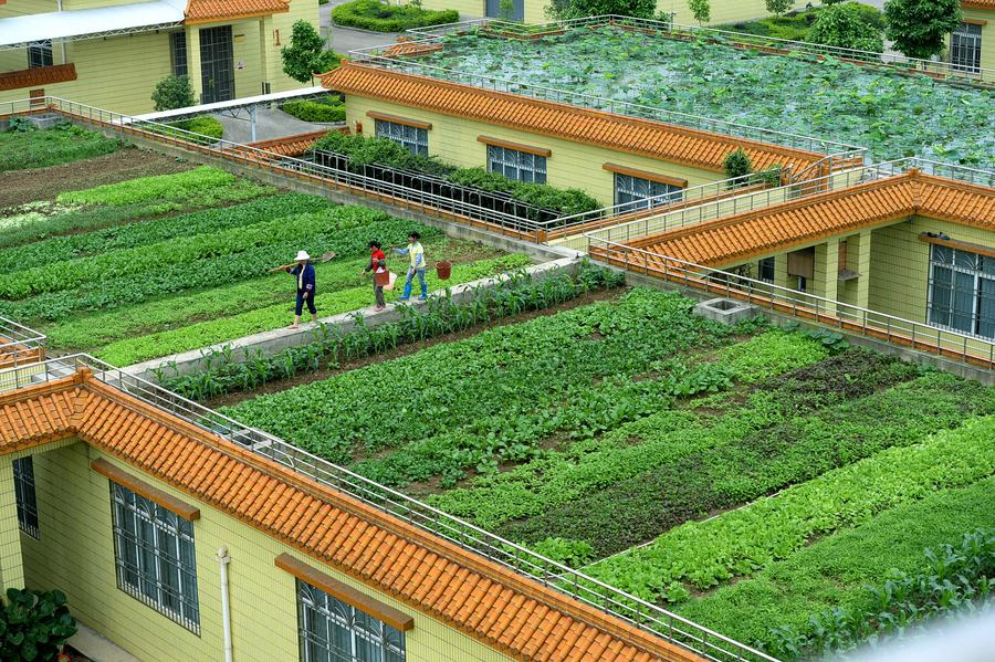 Roof garden in Liuzhou
