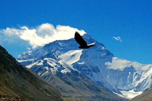 Mountaineering center to boost Tibet's economy