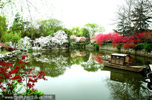 New blossoms reflect ancient beauty