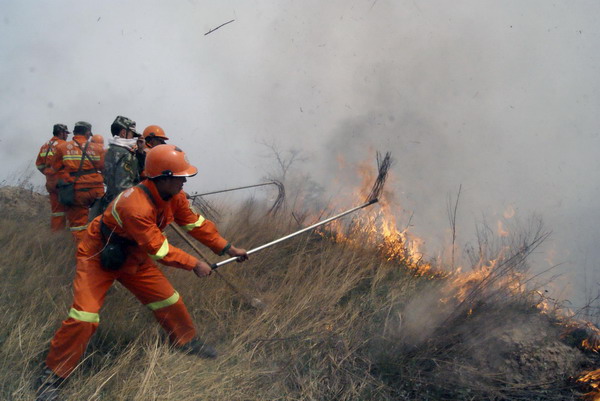 Forest fire breaks out in N China