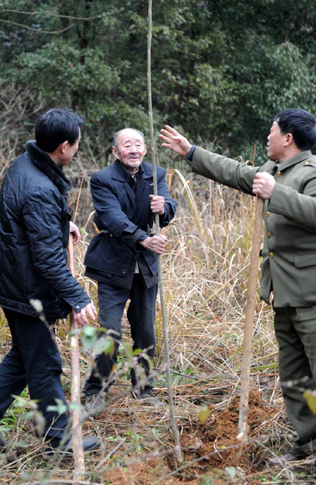 91-year-old plants 570,000 trees over 40 yrs