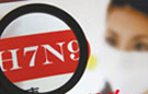 Mainland, Taiwan share H7N9 virus strain
