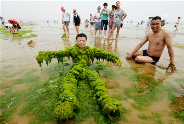 Fun with algae in E China