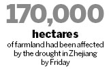 Drought takes toll on rice crop