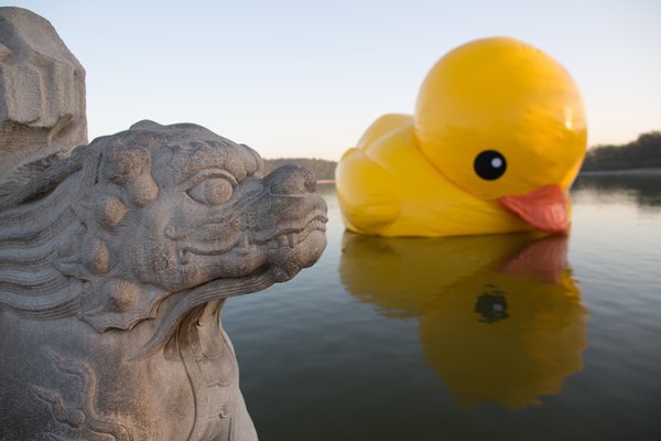 Rubber duck adjusting to spot at Summer Palace