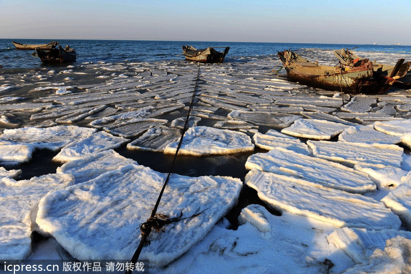 Sea of ice along China's east coast