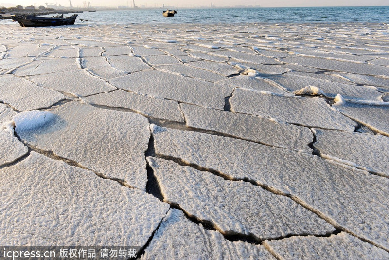 Sea of ice along China's east coast