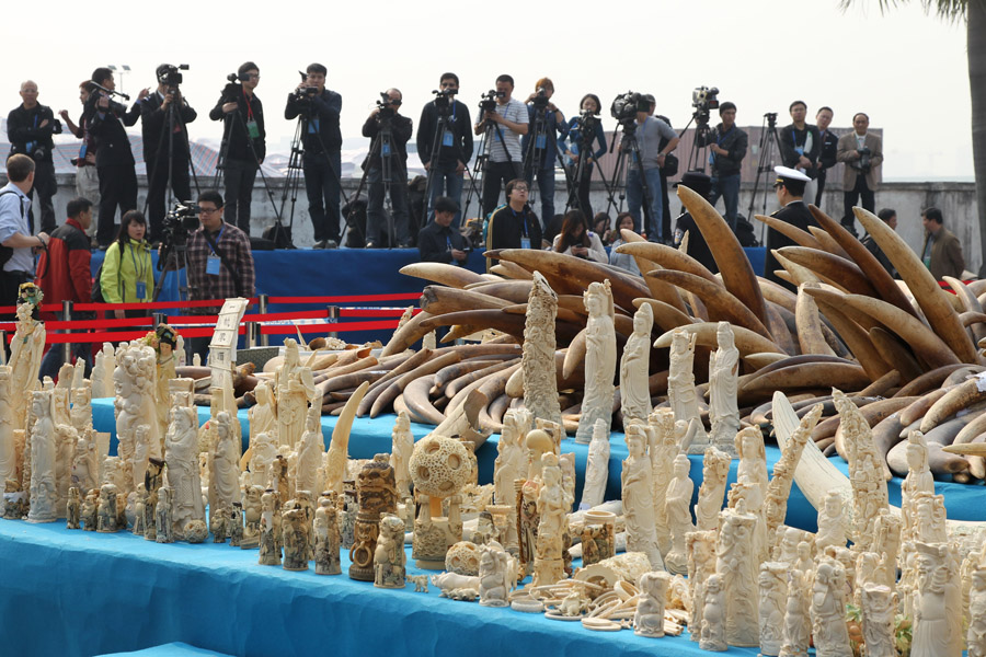 China destroys 6.1 tons of seized ivory