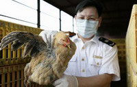 Expert says H7N9 vaccine important for next wave