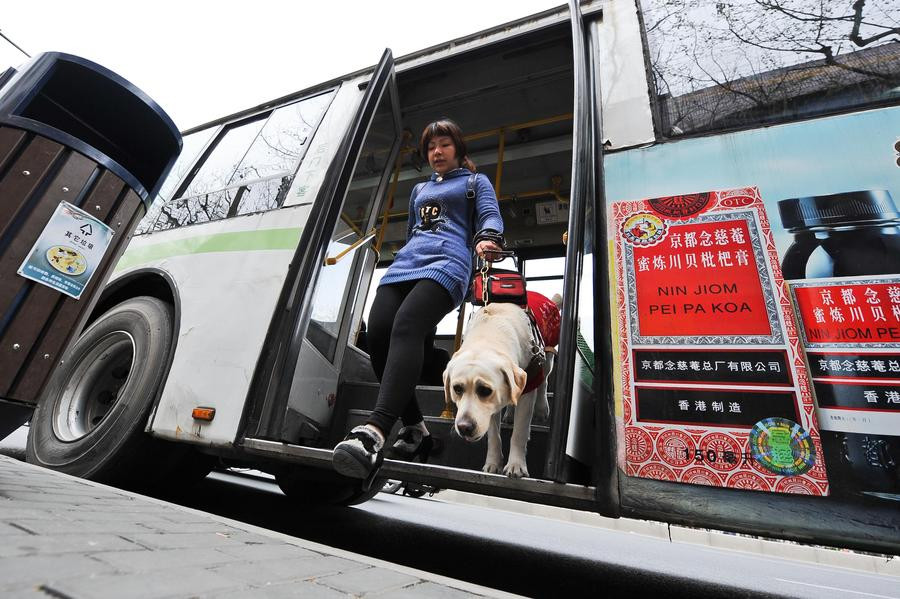 Shanghai gives nod to guide dogs