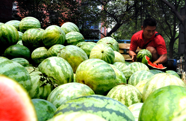 Netizens gobble up watermelon micro blog