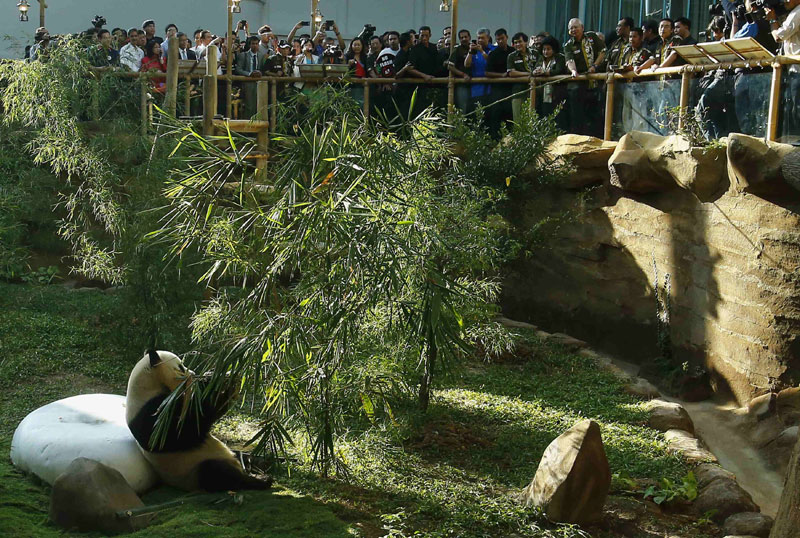 Panda Complex opens in Malaysia