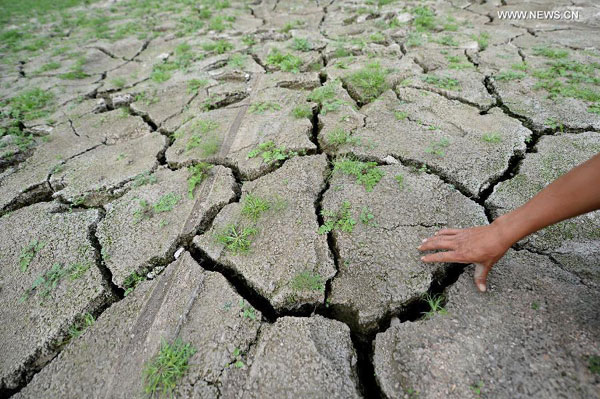 Liaoning suffers the most severe drought since 1951