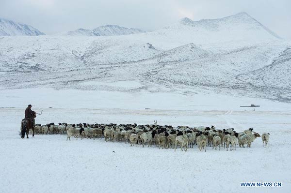 Cold front hits Xinjiang, NW China