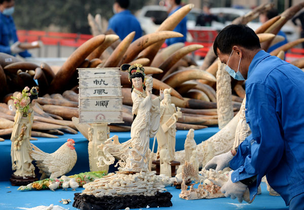 China imposes ivory import ban to evaluate its effects over 1 year